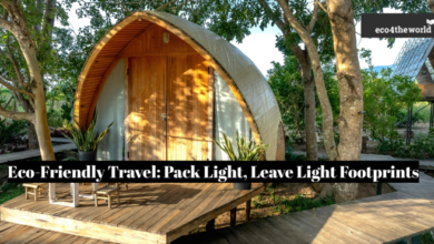Eco-Friendly Travel: Pack Light, Leave Light Footprints
