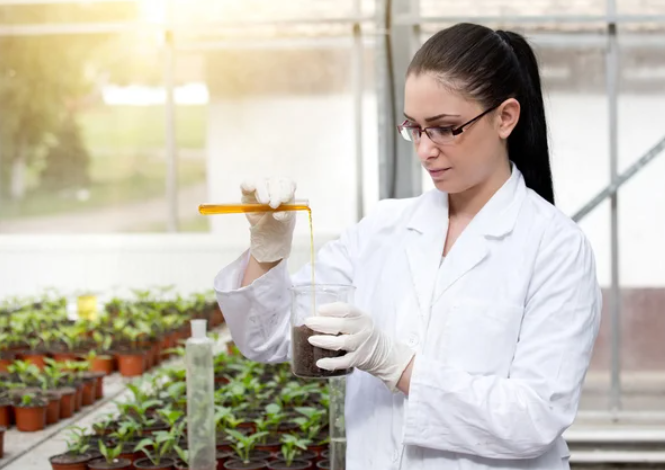 The Secret Chemistry of Nature: Understanding Plant Compounds