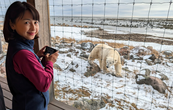 Adventure Awaits at Scenic Lodges Near Active Bear Habitats