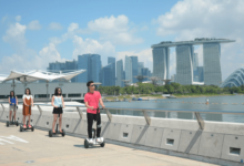 Best Singapore Family Tour Packages by Flamingo Transworld