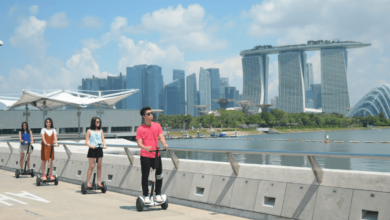 Best Singapore Family Tour Packages by Flamingo Transworld