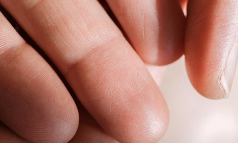 contact details analysis 0216