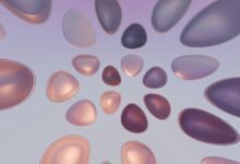 digital boost for agile