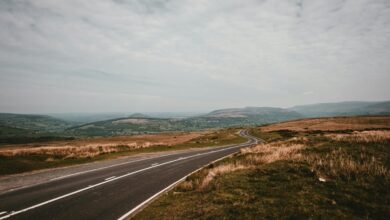 optimize conversions horizon beacon 4582161912