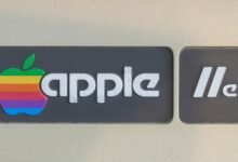 pioneer branding apex horizon cutoff