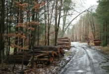 user activity monitoring logs