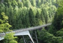 data bridge start phone discovery