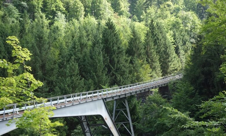 data bridge start phone discovery