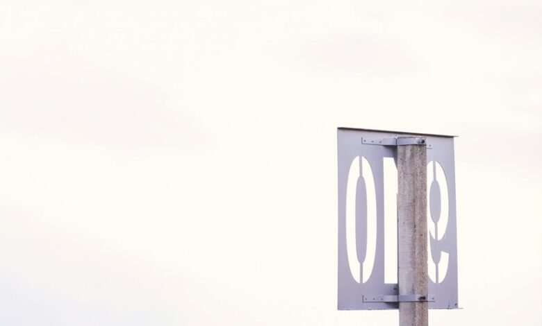 reverse phone number lookup guide