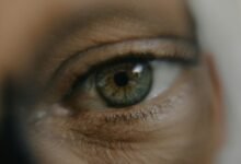 signal vision start trusted caller insights