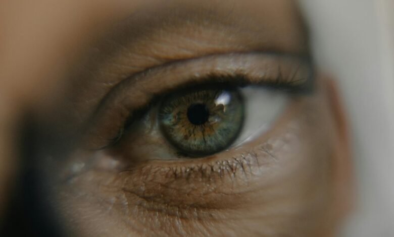 signal vision start trusted caller insights