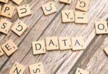 data integrity scan ids mentioned