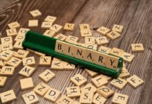 language and encoding identifiers in names
