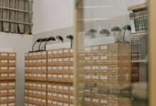 archive review numbers and ids listed