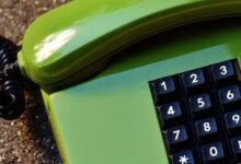 number lookup registry shows multiple phone entries