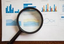 phone number based registry insights summary