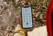 phone numbers list for identity database