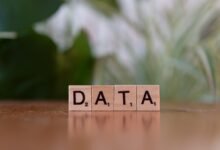 phone numbers listed for identity search results