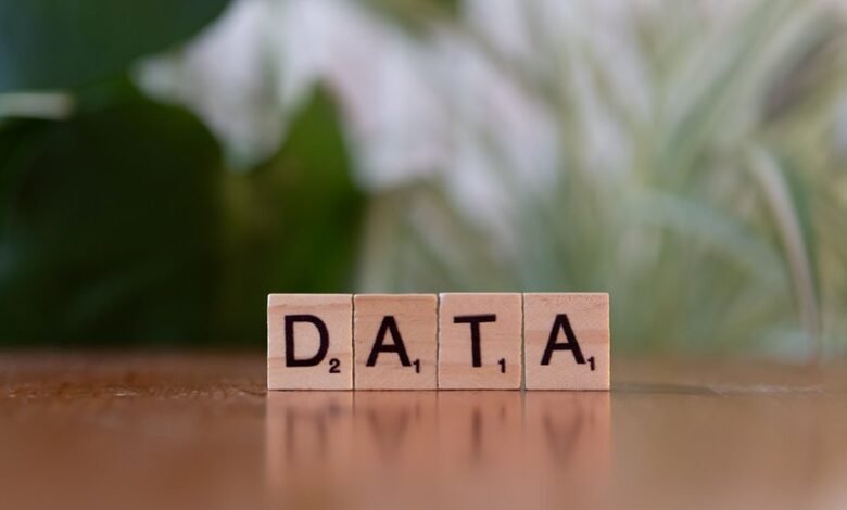 phone numbers listed for identity search results