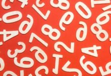 phone numbers to observe search records
