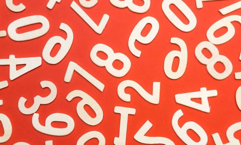 phone numbers to observe search records