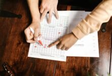 public number registry review details summarize