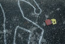 trace public numbers for listed ids